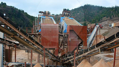 振動(dòng)篩生產(chǎn)線案例