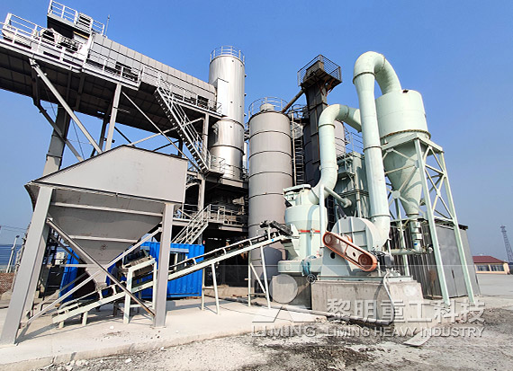 浙江時產20噸石灰石磨粉生產線